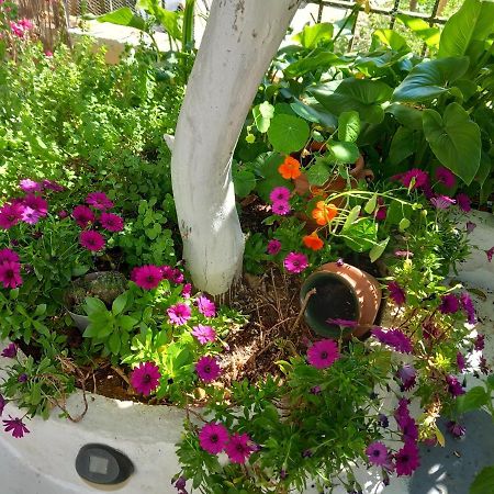 Studio In Garden Poros Town Exterior foto