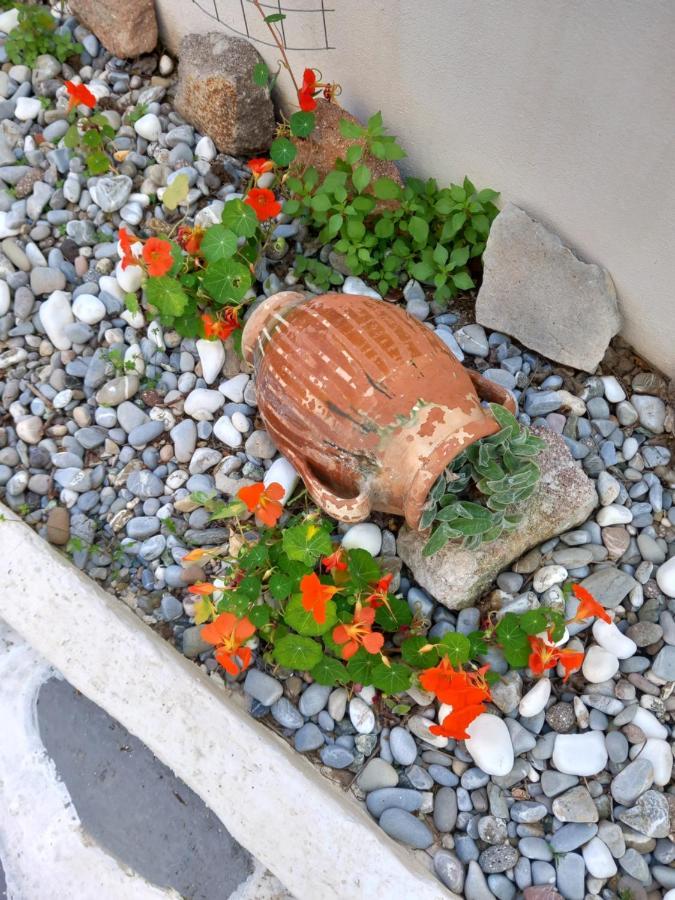 Studio In Garden Poros Town Exterior foto