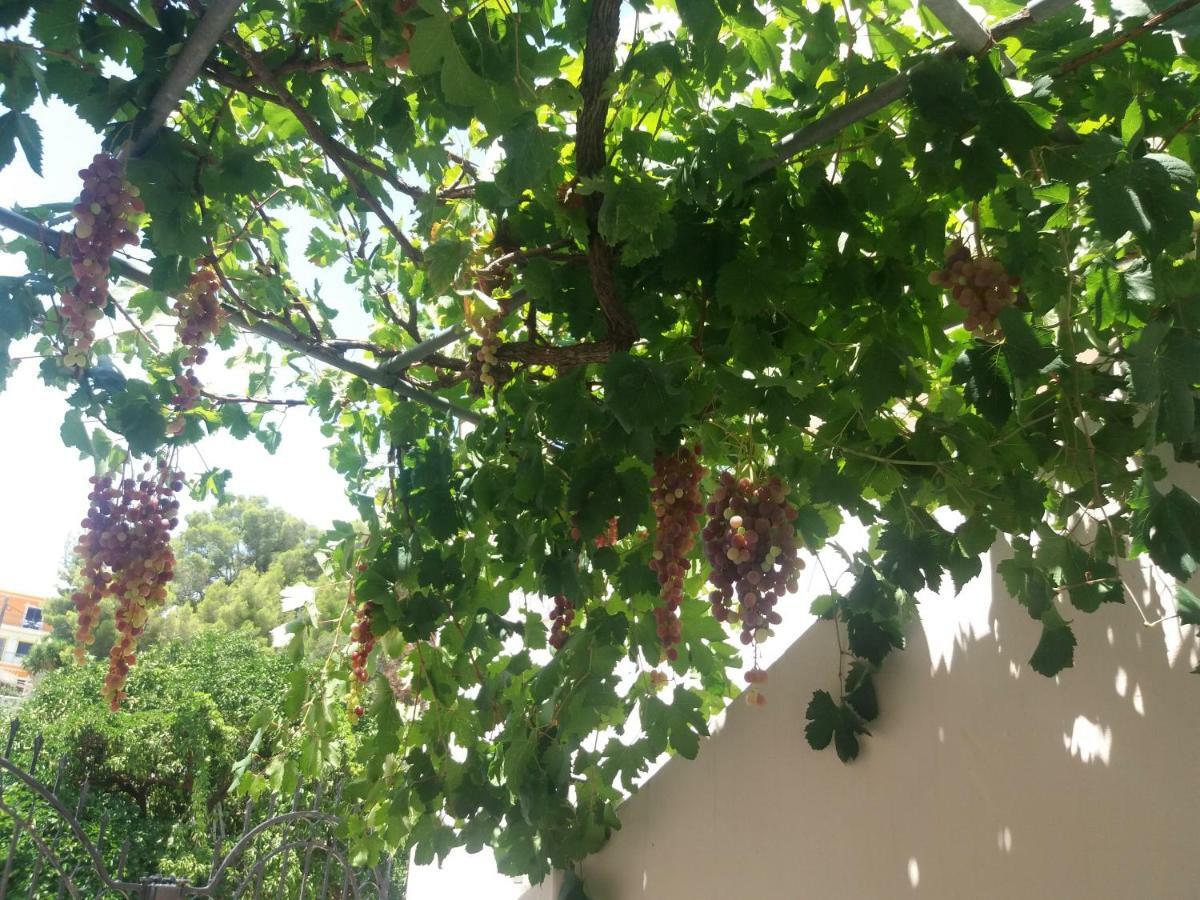 Studio In Garden Poros Town Exterior foto